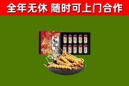 鹤壁市烟酒回收冬虫夏草礼盒.jpg